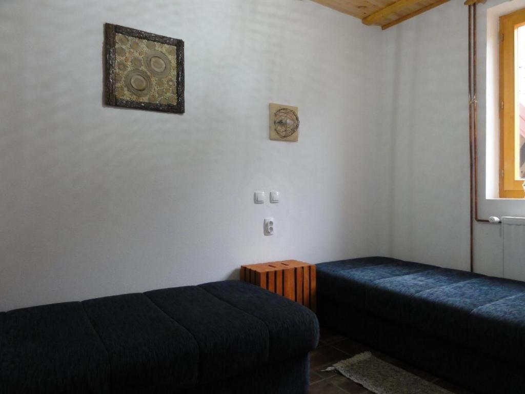Staroplaninski Apartments Crni Vrh エクステリア 写真
