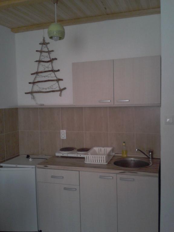 Staroplaninski Apartments Crni Vrh エクステリア 写真