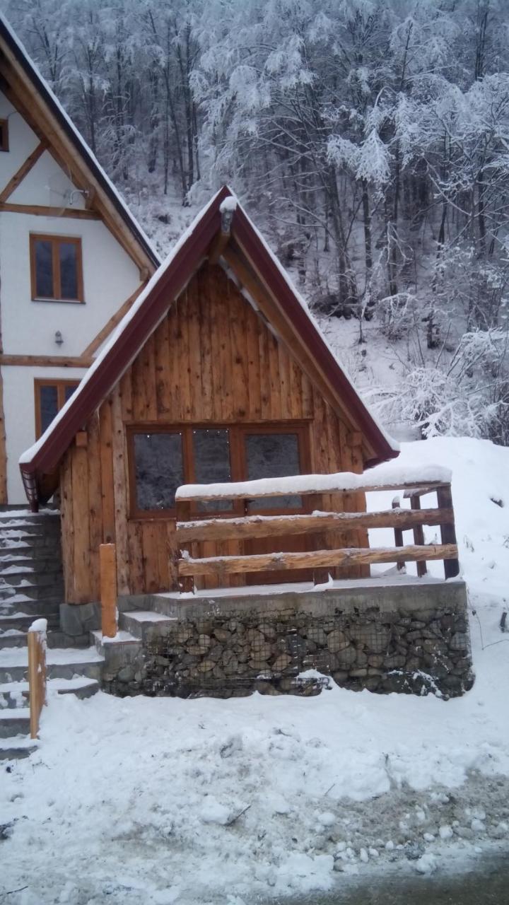 Staroplaninski Apartments Crni Vrh エクステリア 写真